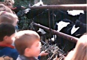 Children with Cows