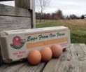 Fresh Eggs Fresh Eggs